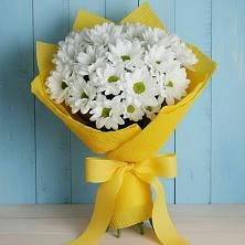 Букет цветов из:  Хризантемы в Пионерском Республика Крым