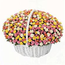 Премиум букет из: Розы в Пионерском Республика Крым