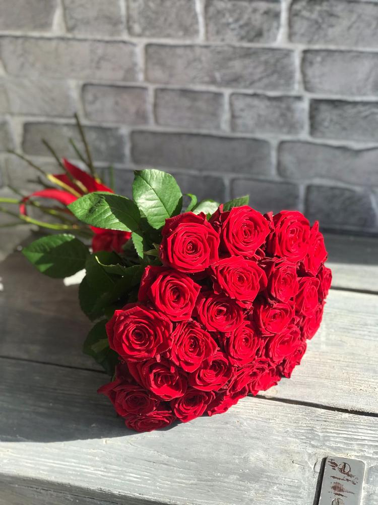 Букет Красные розы Фридом в Пионерском Республика Крым