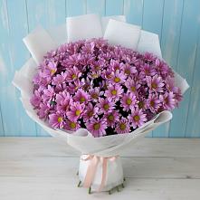 Букет цветов из:  Хризантемы в Пионерском Республика Крым
