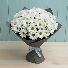 Букет цветов из:  Хризантемы в Пионерском Республика Крым