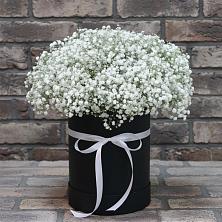 Цветочная композиция из Гипсофила в шляпной коробке в Пионерском Республика Крым